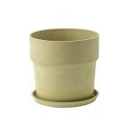 81037 urban растения pot solid шалфей 