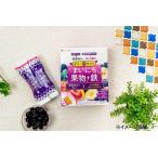  штраф желе de supplement Каждый день фрукты + металлический 200g(10g×20шт.@)