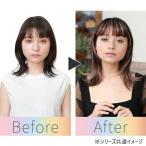 部分ウィッグ つけ毛 エクステ イン