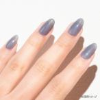 ji-nishu маникюр 8ml No.96 SIESTAsie старт 