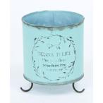  цветочный горшок жестяная пластина иен type цветок pot декоративное растение суккулентное растение садоводство садоводство двор модный жестяная пластина посадочная машина danatin нога pot голубой 