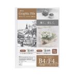 クリアファイル 超薄型 アート 作品 保管 収納 イラスト 文房具 ナカバヤシ アーテム グラフィックファイル B4 F4 クリア