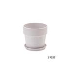  urban растения pot молоко 81096
