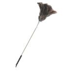 MM страус - takiL CL8971300