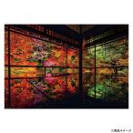 ビバリー 風景日本 (秋)ジグソーパズル 秋深まる瑠璃光院 1000ピース 1000-041