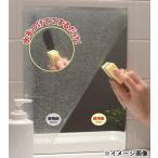 ウロコ取り 浴室鏡 ガラス用 お風呂 掃除 水垢 汚れ 研磨剤 便利グッズ お手入れ 新生活 一人暮らし ダイヤモンドパッドS2 Lサイズ 広面積用