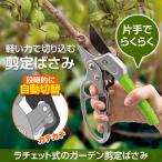  храпового типа. сад ножницы для обрезки диаметр 20mm до ветка порез . щипцы садоводство садоводство ветка порез . блокировка работа бонсай растение садовое дерево починка с одной стороны . удобно 