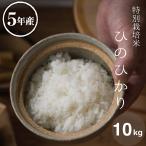 ショッピング米 10kg 送料無料 米 お米 10kg ヒノヒカリ 熊本県産 特別栽培米 令和5年産 5kg×2袋 ひのひかり