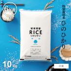 米 お米 10kg ヒノヒカリ 熊本県産 特別栽培米 令和6年産 5kg×2袋 ひのひかり