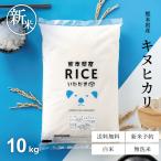 新米 米 お米 10kg キヌヒカリ 熊本県産 令和7年産 5kg×2袋 きぬひかり