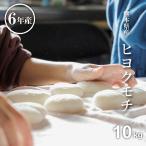 米 もち米 精米10kg ヒヨクモチ 熊本県産 令和6年産 10kg