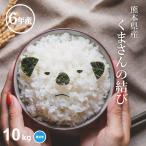 米 お米 10kg くまさんの結び 無洗米 熊本県産 令和6年産 10kg こめたつ