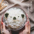 米 お米 20kg くまさんの結び 熊本県産 令和6年産 玄米20kg 精米18kg こめたつ