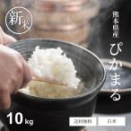 ショッピング米 10kg 送料無料 新米 米 お米 10kg 送料無料 ぴかまる 熊本県産 令和7年産 5kg×2袋 白米