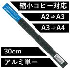 三角スケール 30cm コピー縮小対応 コピーダウン コピスケ TAKEDA