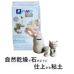 石のようになる 粘土 ねんど フィモ