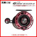  чёрный морской лещ ателье катушка ..Grand RUGGER 65 P POWER( левый ) глубокий titanium / красный 