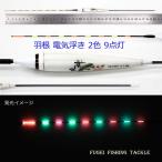 2 цвет 9 лампочка-индикатор перо электрический поплавок ( электронный поплавок *naita- поплавок ) общая длина 40.8cm. 1 шт. H11YS-4Y07 электрический отходит 