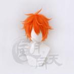 ハイキュー!! 【非公式/二次創作】 Haikyuu!! 日向翔陽 ひなたしょうよう ウイッグ 耐熱 かつら コスプレ アニメ イベント