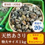 a.. молодь жёсткой ракушки ( очень большой )1kg натуральный песок вытащенный ( префектура Аичи Mikawa . производство )