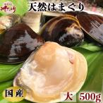 ハマグリ 国産 はまぐり 蛤 天然活はまぐり (大サイズ) ５００ｇ（６個前後）(愛知県産)