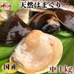 ハマグリ 国産 はまぐり 蛤 天然活はまぐり (中サイズ) １kg（１８個前後）お吸い物に最適 (愛知県産)