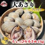 大アサリ 活大あさり (タレ付き) ２ｋｇ ちょっと小さめな大あさり (愛知県産)