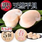 【期間限定・特別販売】 平貝 (貝柱