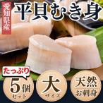 平貝 (貝柱のみ) 大サイズ 5個セット お刺身 タイラギ (愛知県産) (売れ筋)