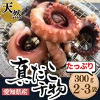 真蛸の干物 (中１杯) たこのひもの (愛知県産)