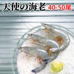  рефрижератор ангел. море .1kg примерно 40 хвост из 50 хвост входить подарок на Bon Festival подарок по случаю конца года ... высококлассный подарок подарок .. креветка дешево . sashimi . пятна сырой еда 6000996089