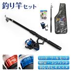 釣り竿 釣り竿セット 釣り具 釣竿 ロッド スピニングリール 釣りセット 釣り道具 入門 コンパクト fj9048