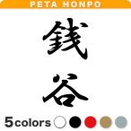 カッティングステッカー 銭谷 縦書き (A) サイズ選択可 苗字 名字 姓 名前