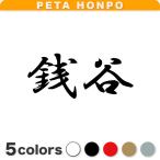 カッティングステッカー 銭谷 サイズ選択可 苗字 名字 姓 名前