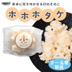 [ полный небо синий пустой ресторан ] прямая поставка от производителя Shizuoka префектура производство ho ho ho take. ..... необычный .. ... жарение китайский итальянский японская кухня ...