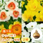 商品画像3
