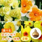 商品画像2