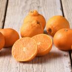 ショッピング甘平 【全国のうまいもん／愛媛他】柑橘コフレ　全国送料無料♪　アデリー(03233)