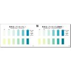 パックテスト［徳用セット］　アンモニウム