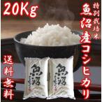 米 お米 20kg (10kg×2袋) 新米 コシヒカリ 魚沼産 新潟県 白米 平成30年産  送料無料