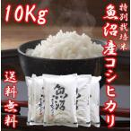 米 お米 10kg (2kg×5袋) 新米 コシヒカリ 魚沼産 新潟県 白米 平成30年産  送料無料