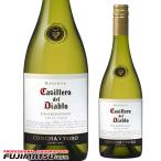Yahoo! Yahoo!ショッピング(ヤフー ショッピング)コンチャイトロ カッシェロ ディアブロ シャルドネ 750ml （Casillero del Diablo 白ワイン 辛口）※12本まで1個口で発送可能 ギフト 御祝 熨斗