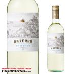 Yahoo! Yahoo!ショッピング(ヤフー ショッピング)メッツァコロナ アンテッラ ピノ・グリージョ 750ml ※12本まで1個口で発送可能   ハロウィン ギフト 御祝 熨斗