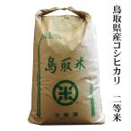 【玄米30kg袋買い】鳥取県産コシヒカリ2等米 玄米30kg 【精米無料】