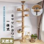 キャットタワー 木製 一体式 猫タワー おしゃれ 多頭飼い 爪とぎ おしゃれ 大型猫 透明宇宙船 安定性抜群 猫ハウス ネコ 猫用 運動不足