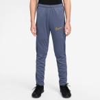  Nike Junior красный temi-Dri-FIT брюки NIKE футбол футзал джерси длинные брюки тренировка одежда Kids ребенок (HJ3720-491)