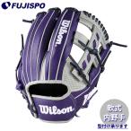 AW общий W/H DUAL для игрока внутреннего поля 27 Wilson бейсбол Wilson для софтбола перчатка (WBW103750)