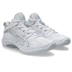  Asics asics баскетбол обувь гель обруч V17 стандартный GELHOOP V17 STANDARD 1063A096 100 цвет белый . покупка 