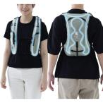 [山善] 冷水服 水冷服 DIRECTCOOL 2023 バッテリー付き フリーサイズ 水冷ベスト ペットボトルクーラー DC-B01S(G) グレー