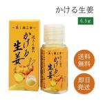 生姜 かける生姜 小瓶 6.5g 顆粒 生姜パウダー しょうがパウダー 国産 ショウガパウダー しょうが 粉 調味料 うれし野ラボ 美味しい スパイス トッピング スープ